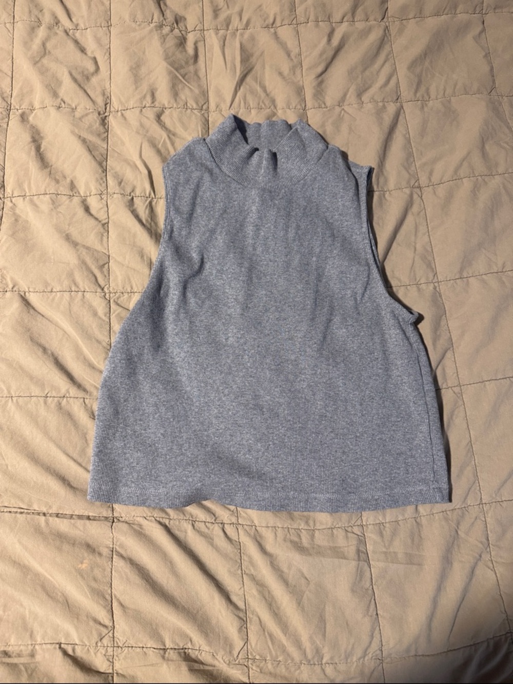 Everlane Sleeveless Mock Neck Top in Heather Gray